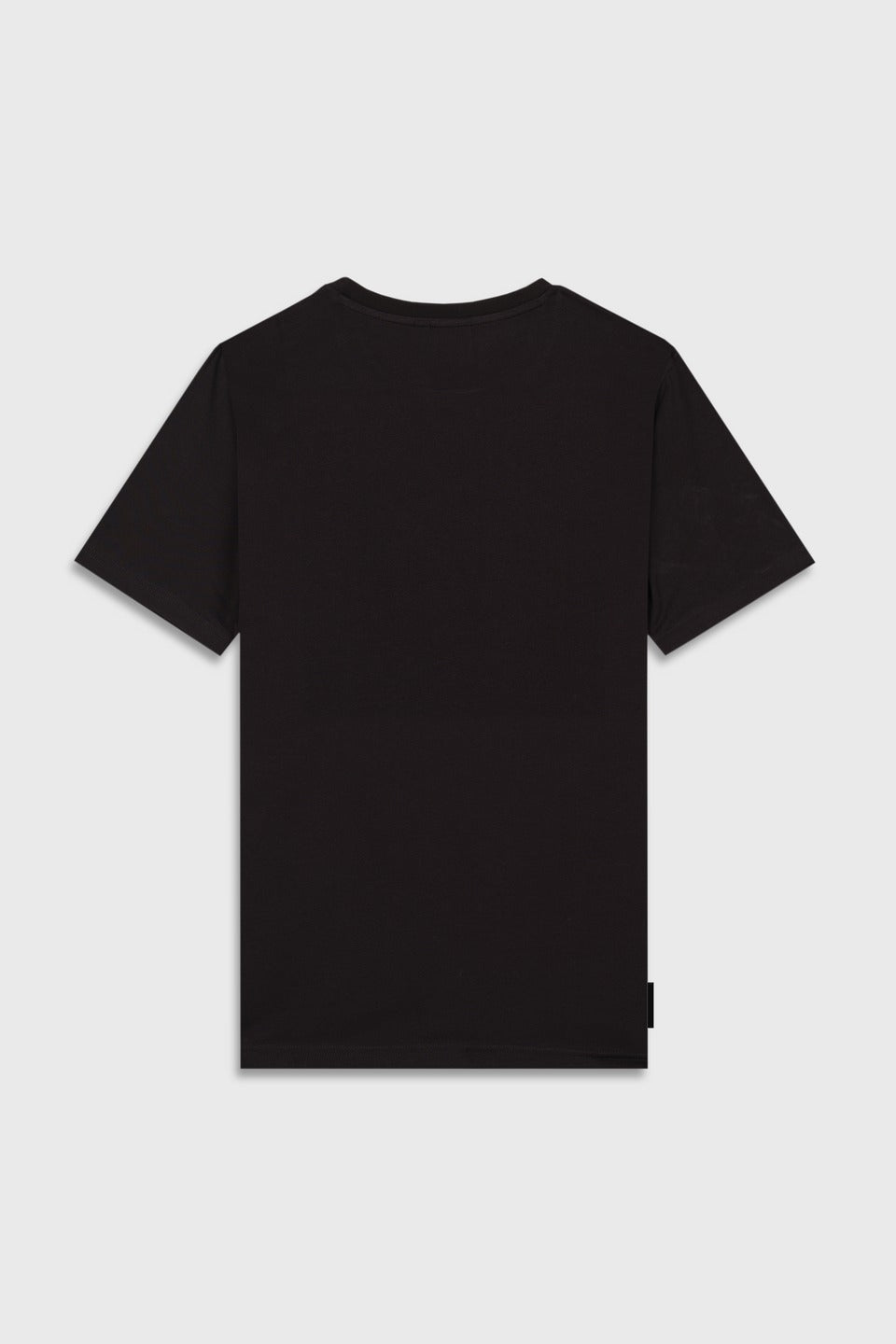 TEE SHIRT 12 EDDY